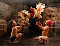 567 - PLAYING WITH FRIEND 2 - HARTOJO ANGELA MULIANI - indonesia